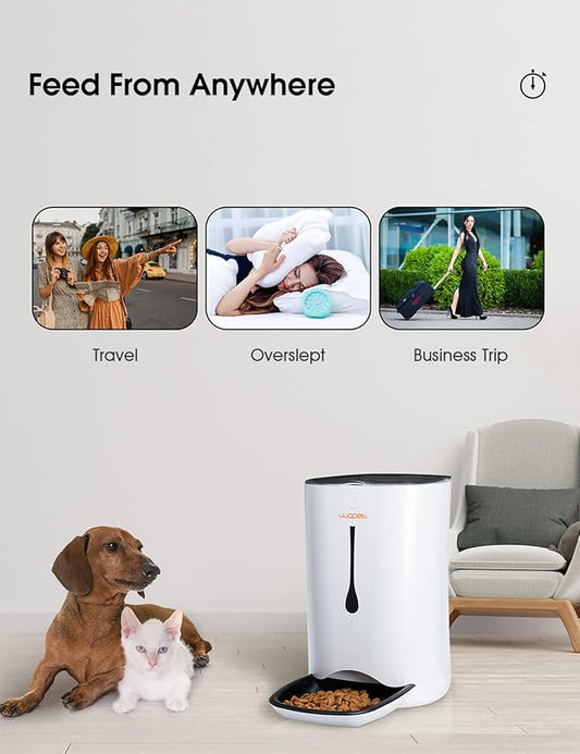 Smart Feeding for Cats  Dogs 🐾