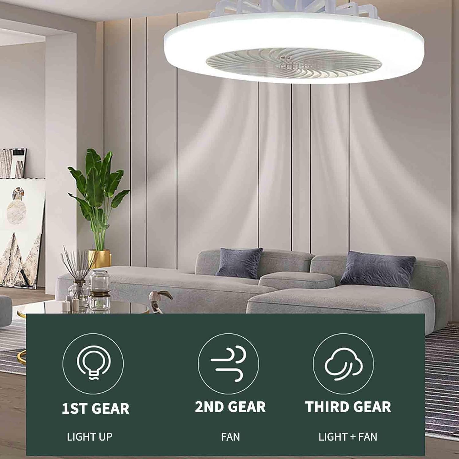 Ceiling Fan with Light