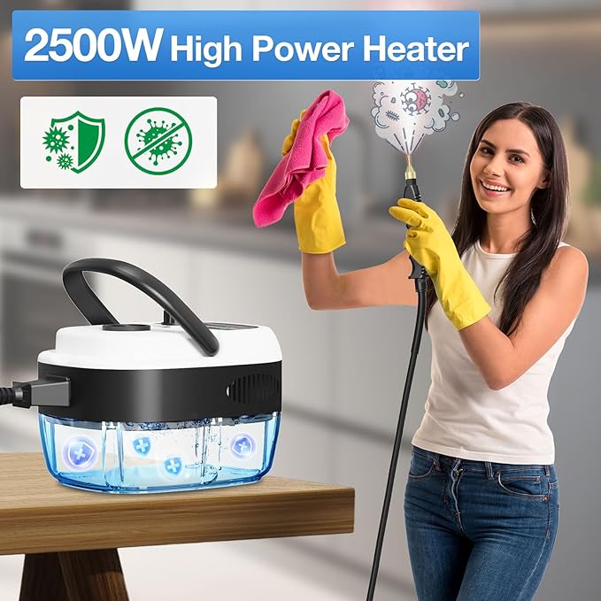 Ganggend Handheld Steam Cleaner