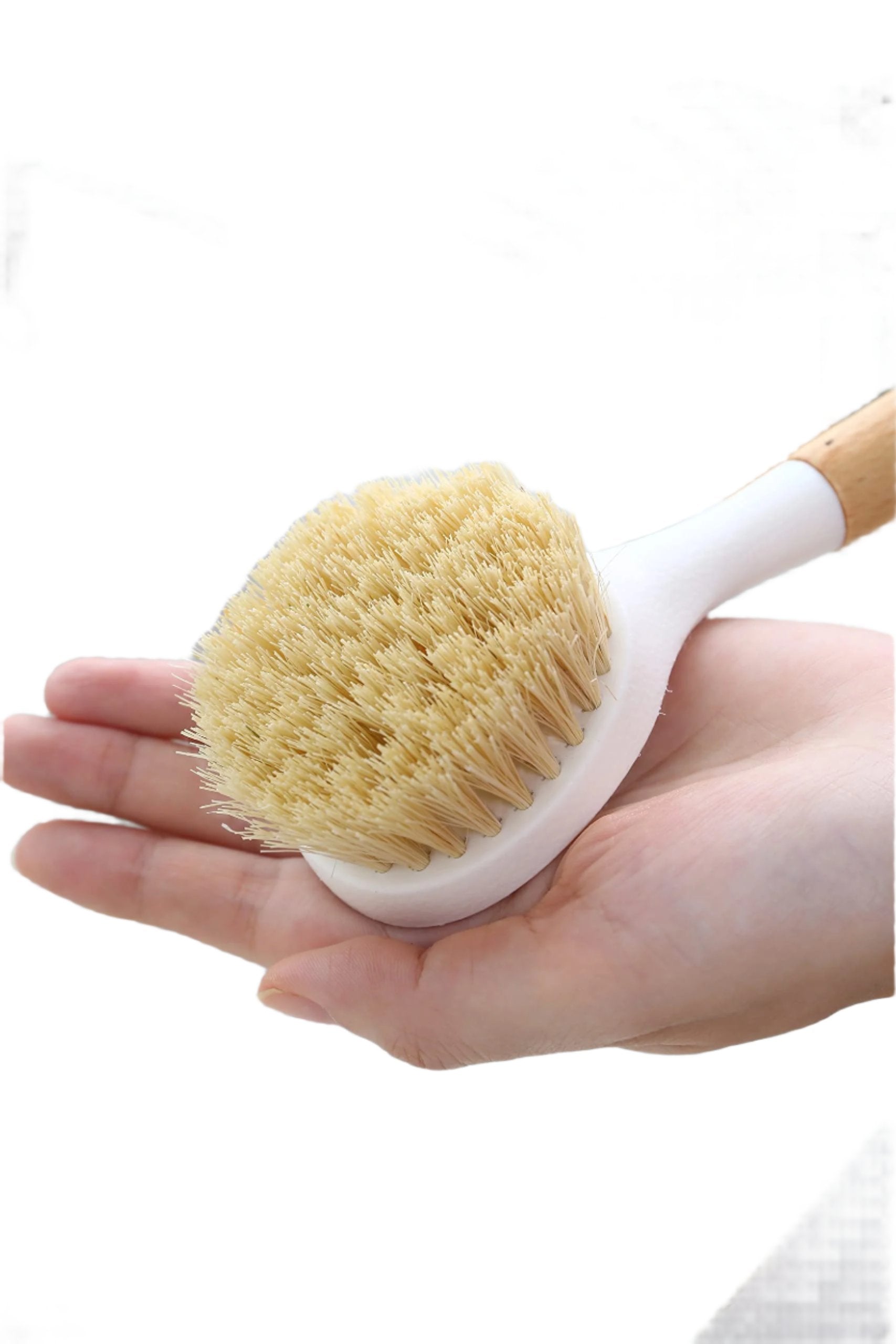 Kitchen Dish Brush With Handle