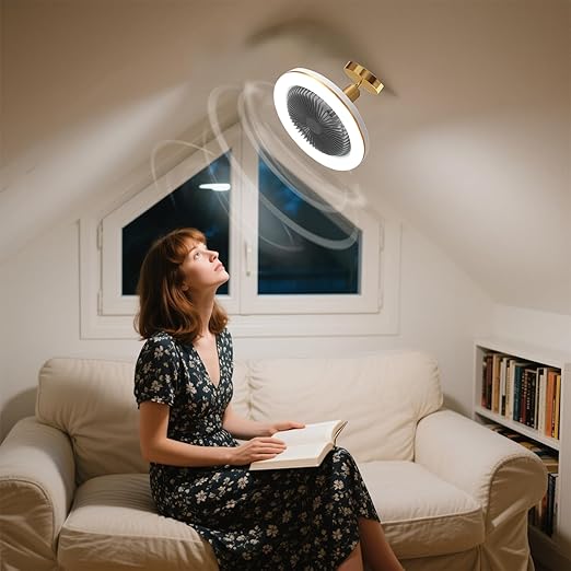 Ceiling Fan with Light