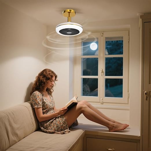 Ceiling Fan with Light