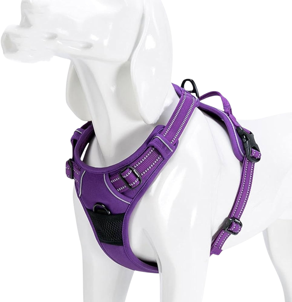 Outdoor Adventure Dog Harness