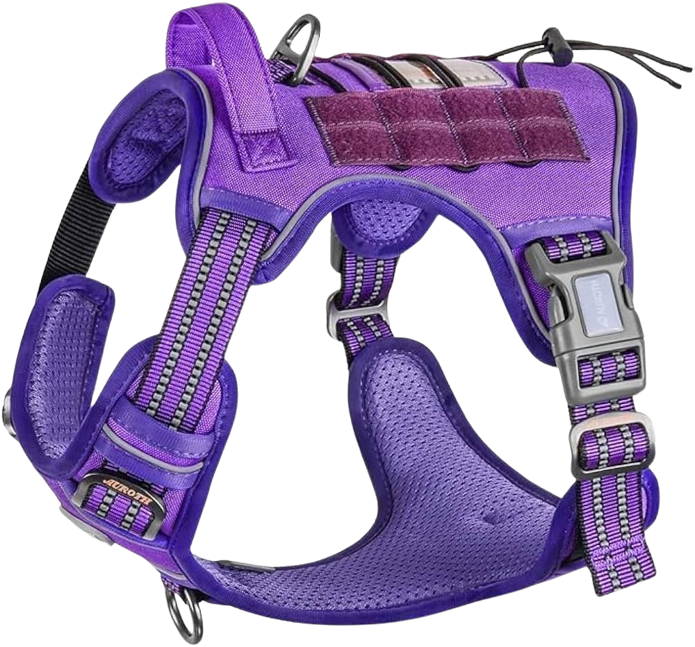 Outdoor Adventure Dog Harness