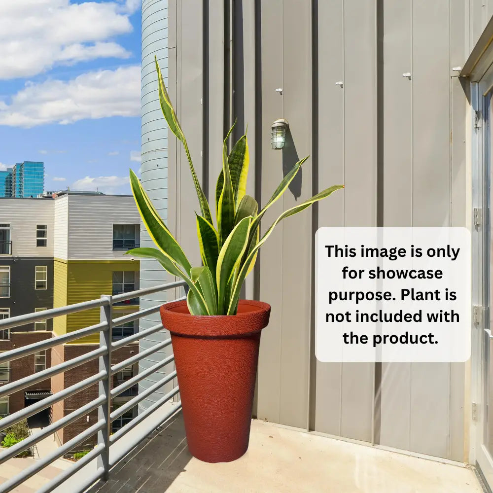 Brown Potted plant on a balcony with a cityscape background