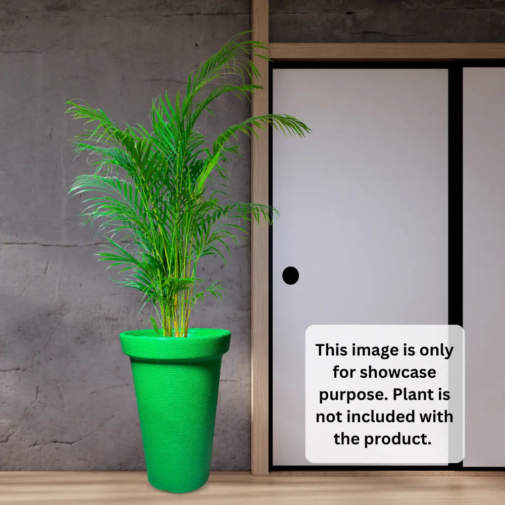 Green potted plant in front of a sliding door with a text overlay.