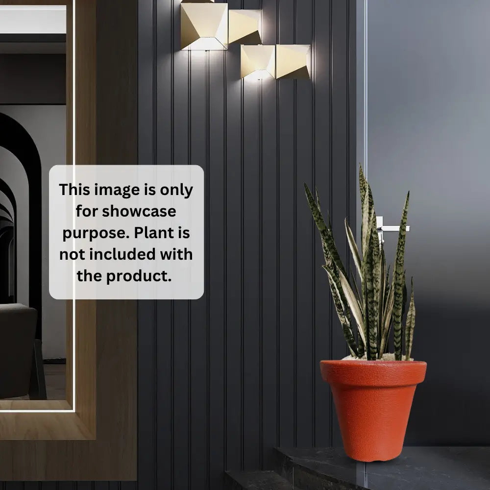 Potted plant in front of a modern wall with geometric light fixtures.