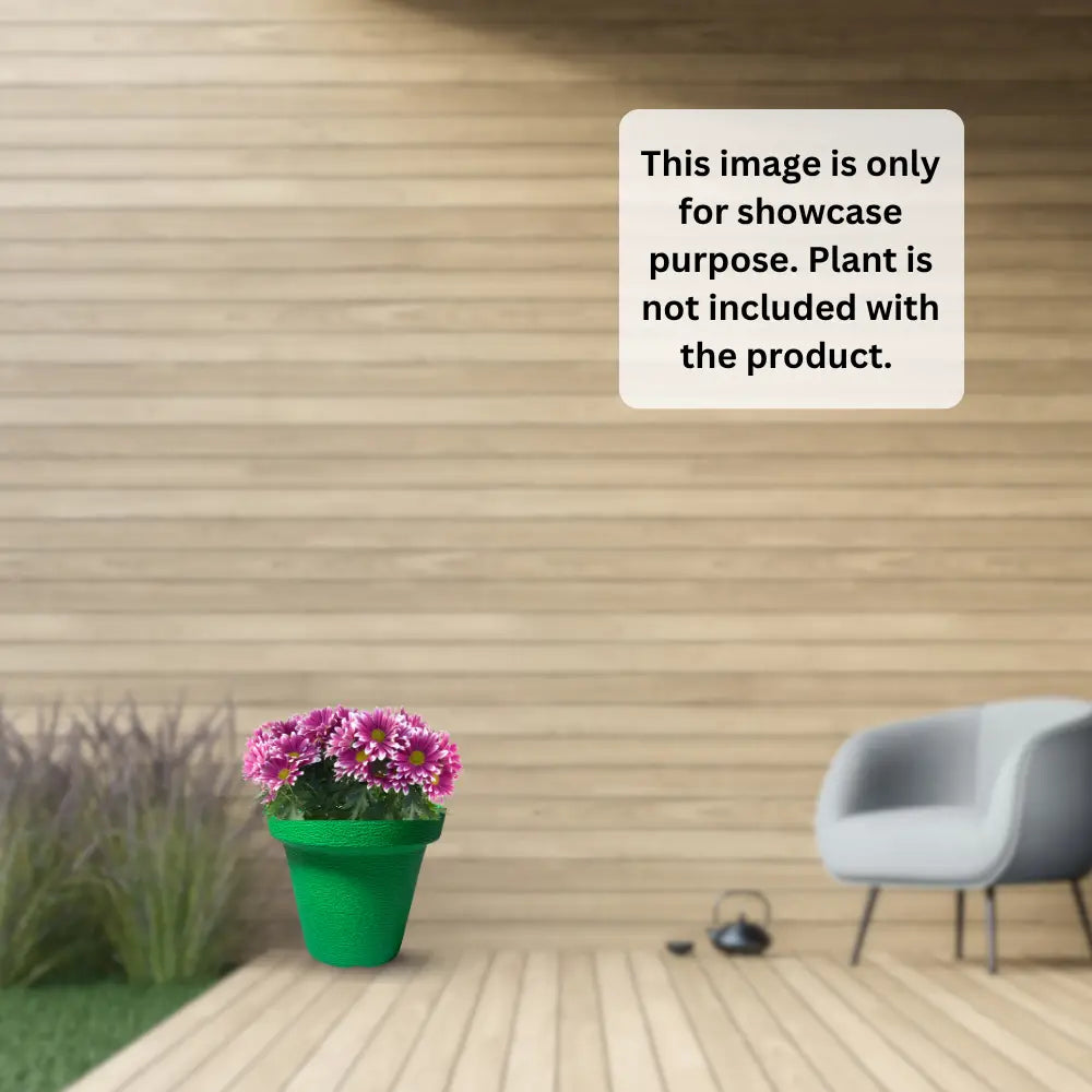 Green Potted plant on a wooden floor with a chair and decorative items in the background.