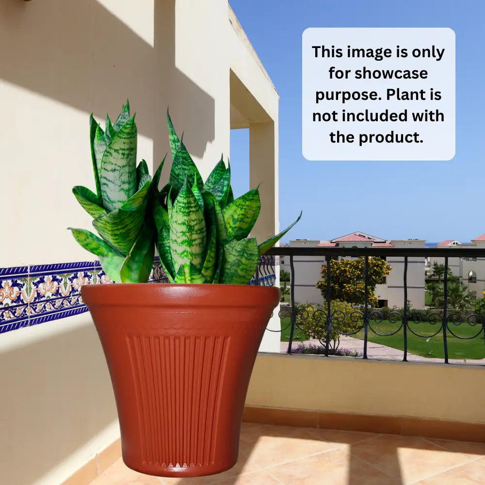 Potted plant on a balcony with a scenic view of a building and garden.