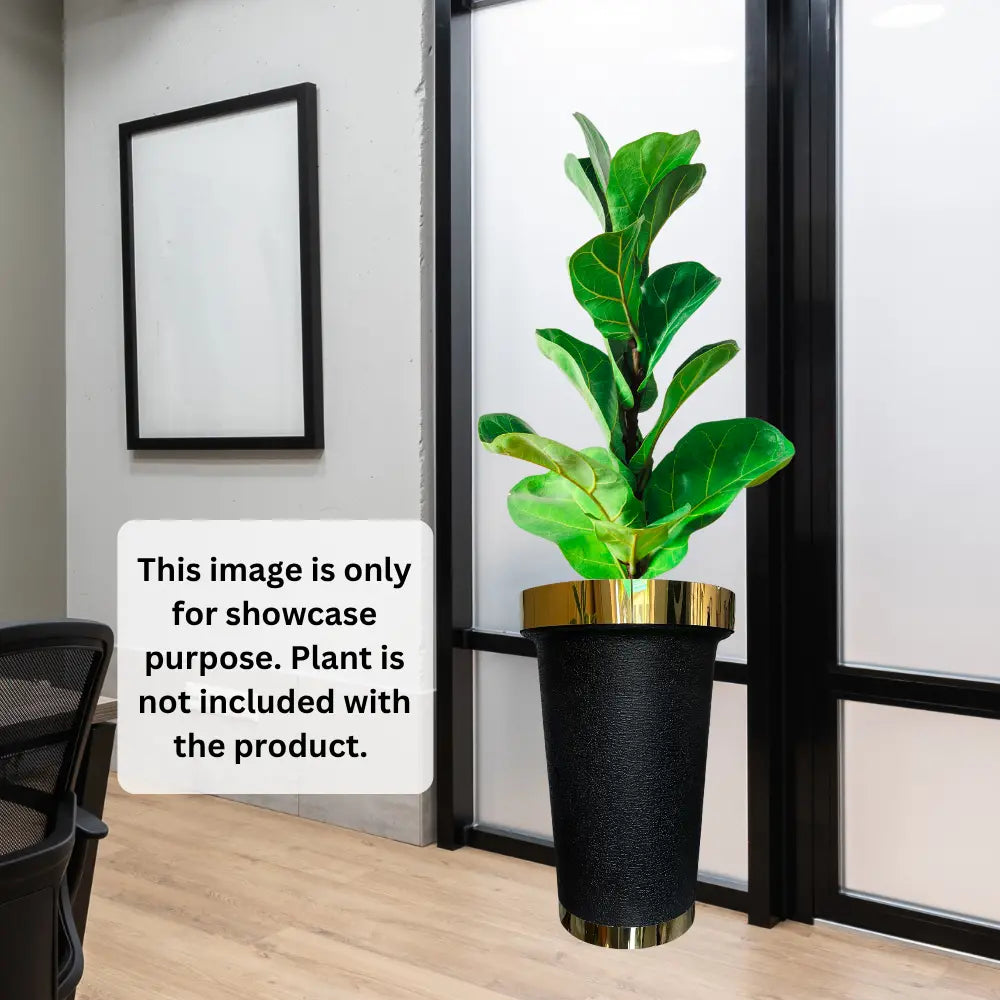 Potted flower plant metal ring on a gold base in an indoor setting.