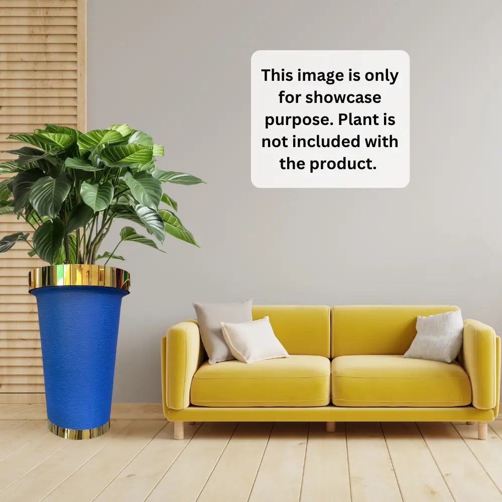 Blue Potted flower plant metal ring in an indoor setting.