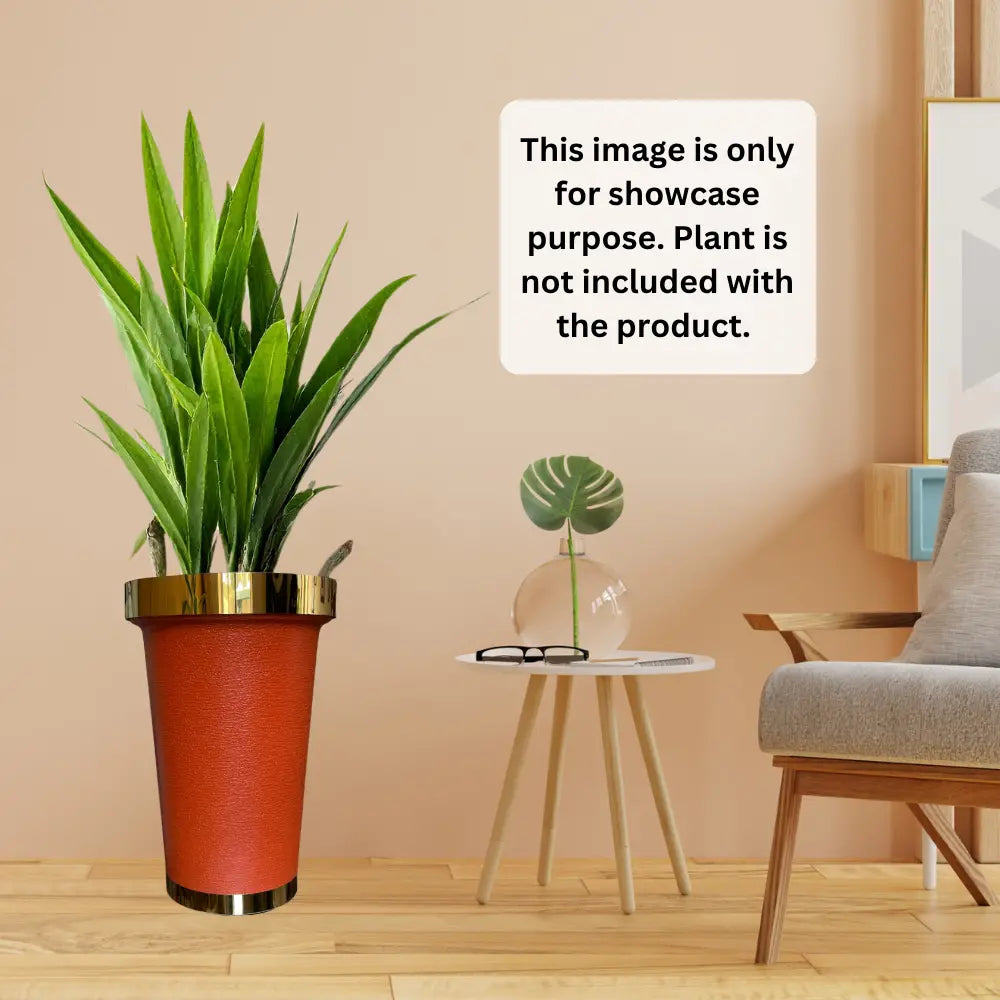 Potted plant with golden rim on a wooden floor with a beige wall and chair in the background.