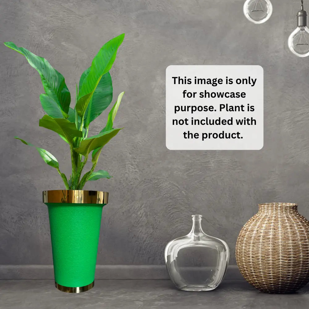 Green potted plant with gold rim on a gray surface with decorative vases.