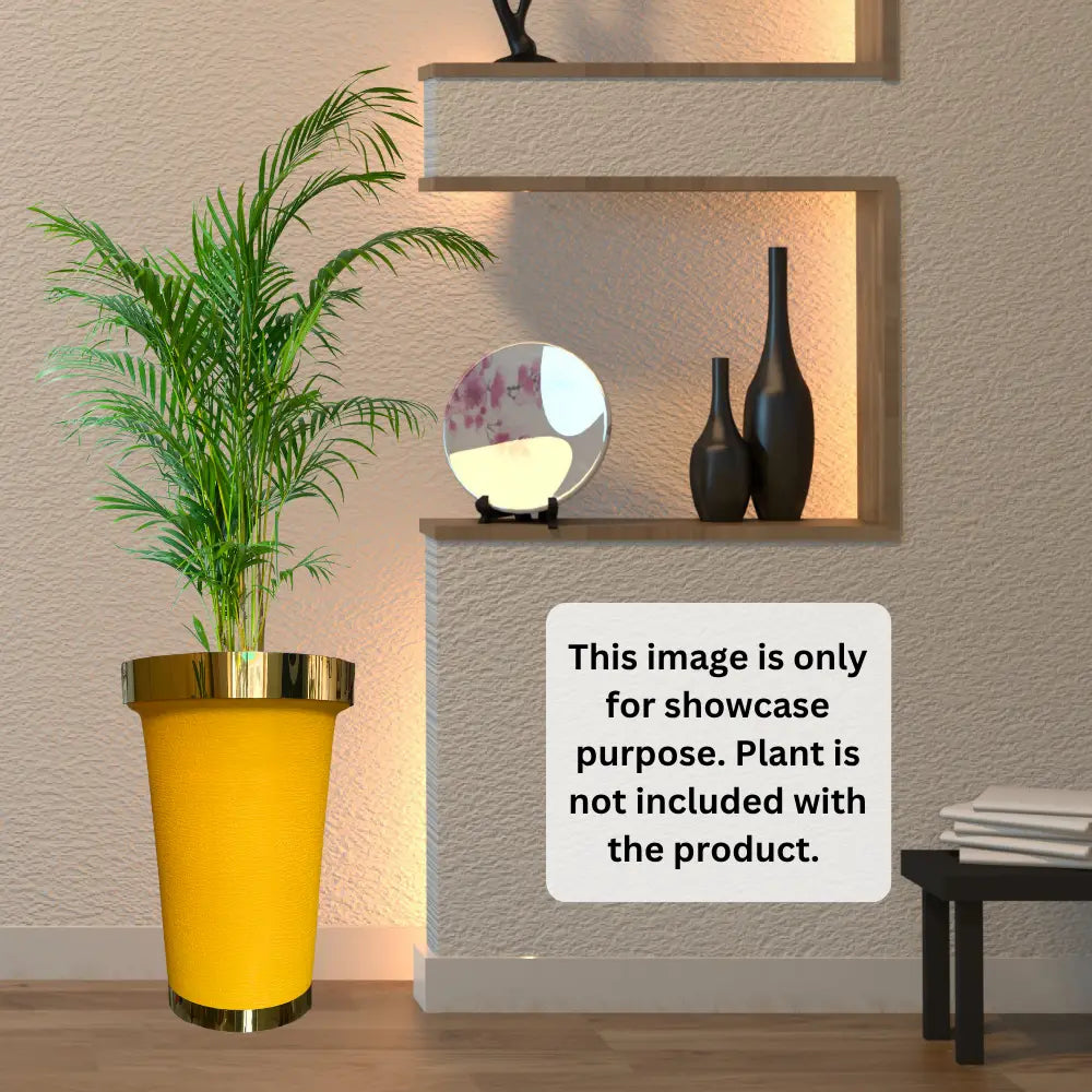 Decorative plant in a yellow pot of golden ring next to shelves with decorative items on a wall.