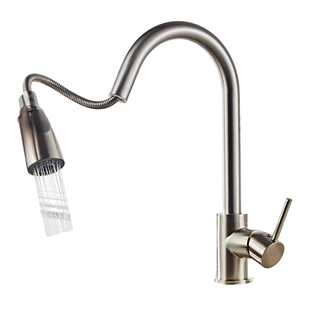 Kitchen Faucet Sanitary