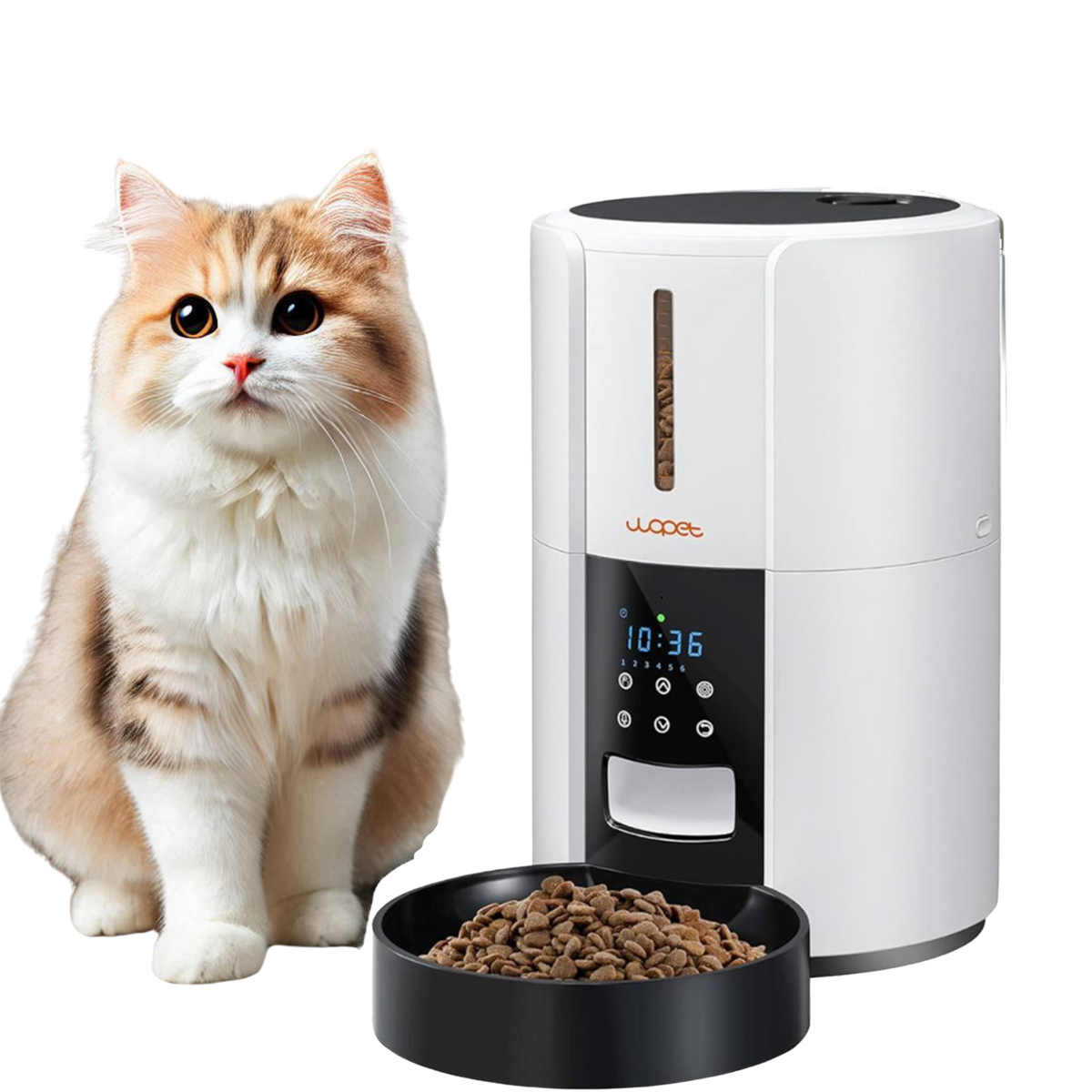 Pet Feeder-Boundless