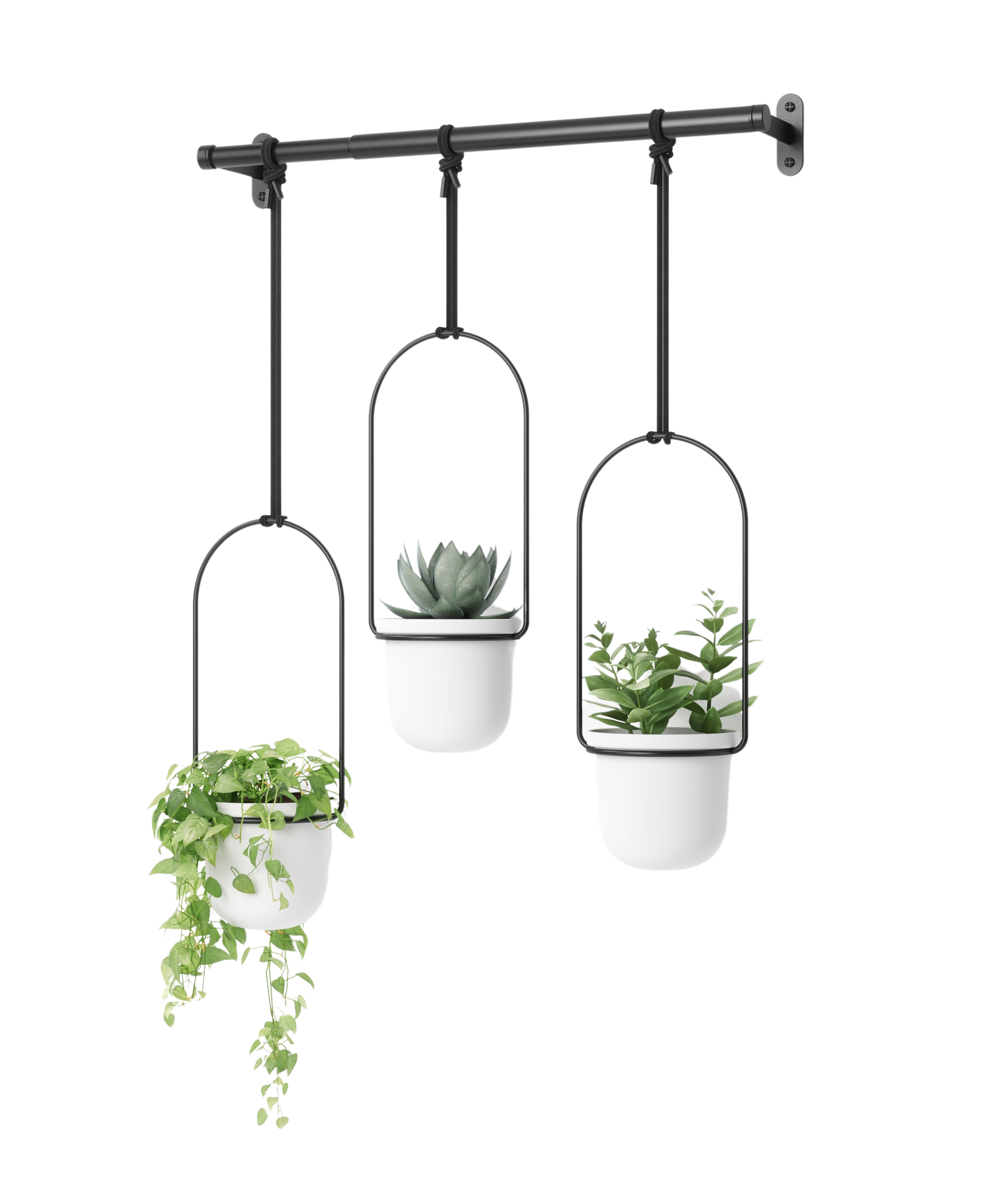 Triflora Hanging Planters Rod Umbra