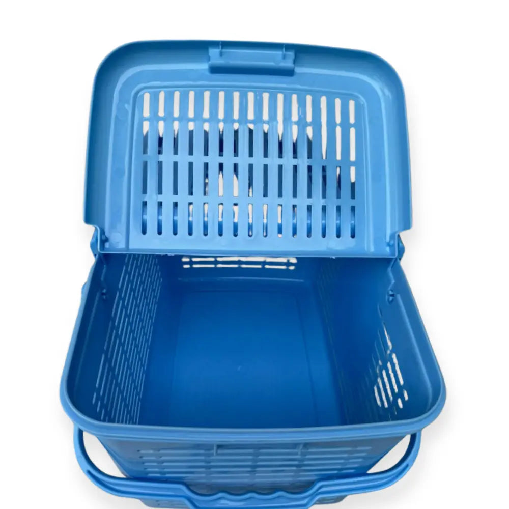 Blue storage carrier with open lid